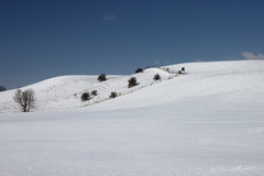 Killikus&reg; Fotographie