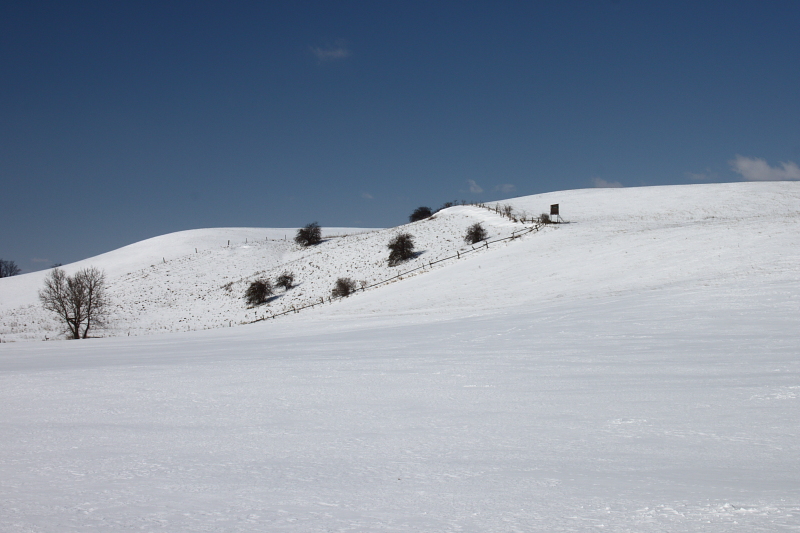 Killikus&reg; Fotographie