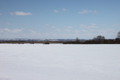 Killikus&reg; Fotographie