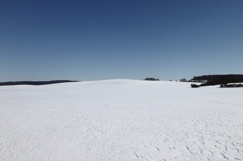 Killikus&reg; Fotographie