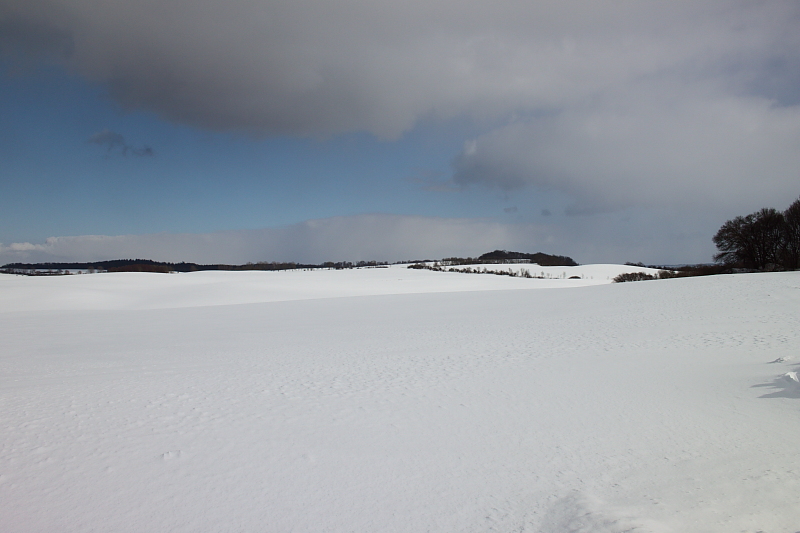 Killikus&reg; Fotographie