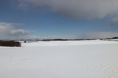 Killikus&reg; Fotographie