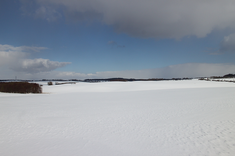 Killikus® Fotographie Killikus® Fotographie