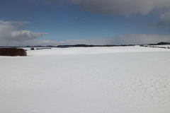 Killikus&reg; Fotographie