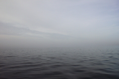 Killikus&reg; Fotographie