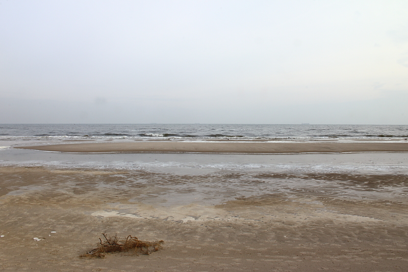 Killikus&reg; Fotographie