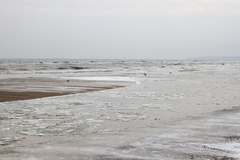 Killikus&reg; Fotographie