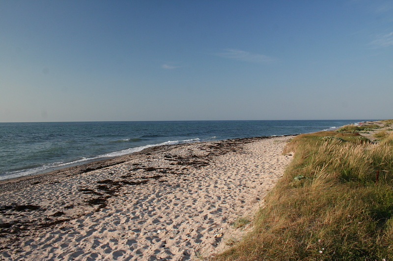 Killikus® Fotographie Killikus® Fotographie