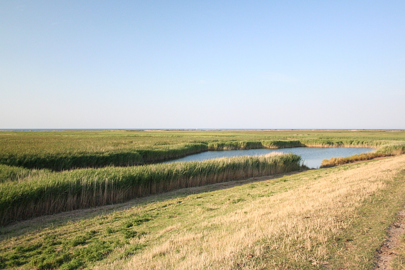 Killikus® Fotographie Killikus® Fotographie