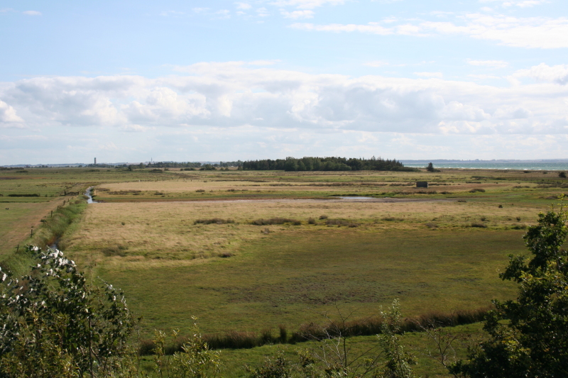 Killikus&reg; Fotographie