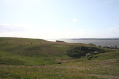 Killikus&reg; Fotographie