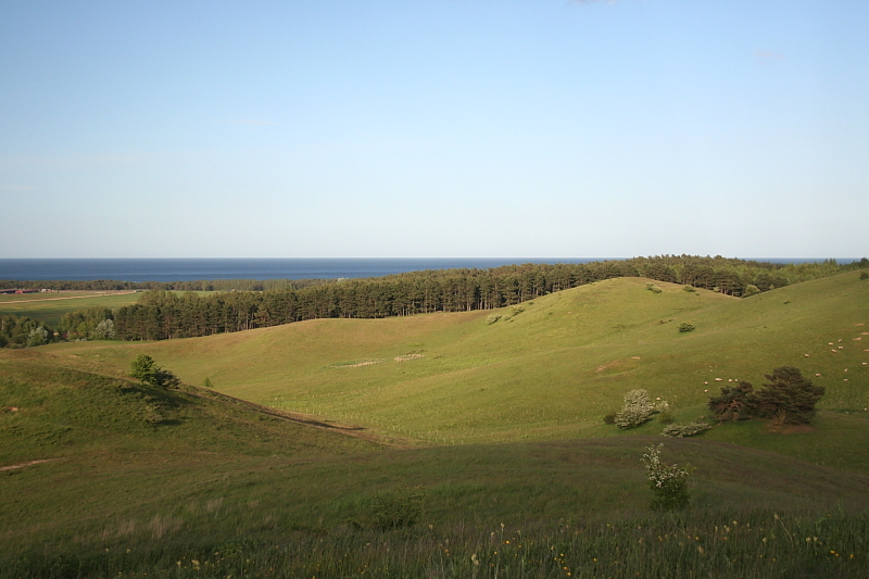 Killikus&reg; Fotographie