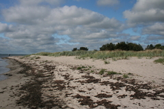 Killikus&reg; Fotographie