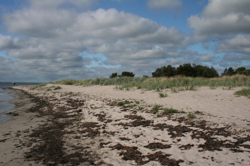 Killikus&reg; Fotographie