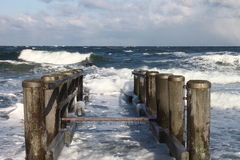 Killikus&reg; Fotographie