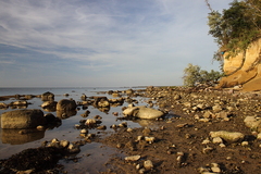 Killikus&reg; Fotographie