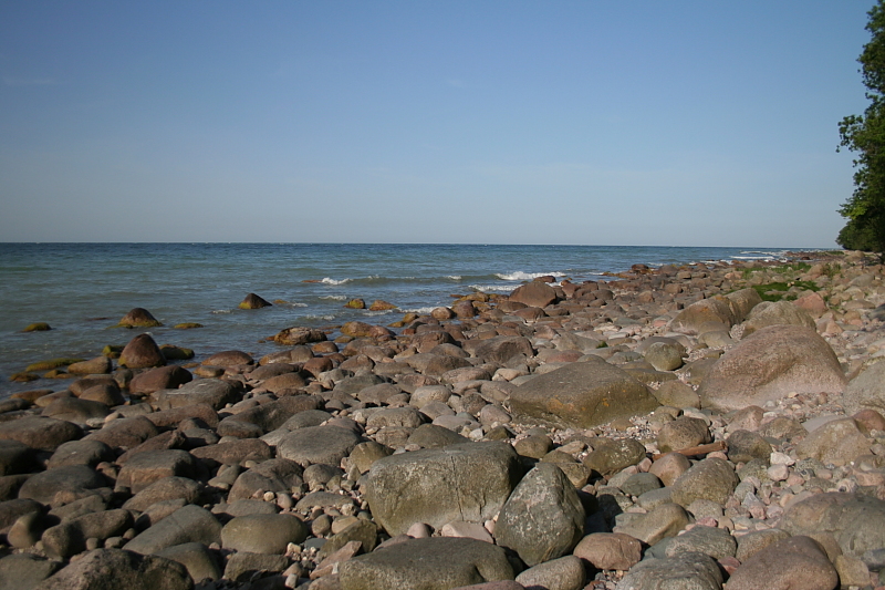 Killikus® Fotographie Killikus® Fotographie