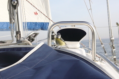 Killikus&reg; Fotographie