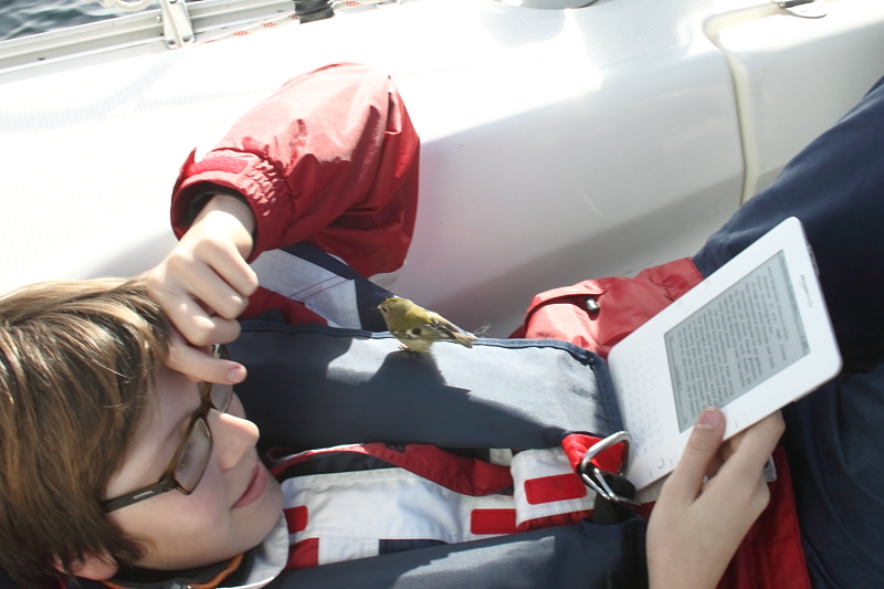 Killikus&reg; Fotographie