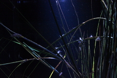 Killikus&reg; Fotographie