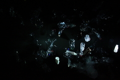 Killikus&reg; Fotographie