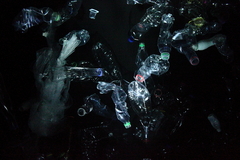 Killikus&reg; Fotographie