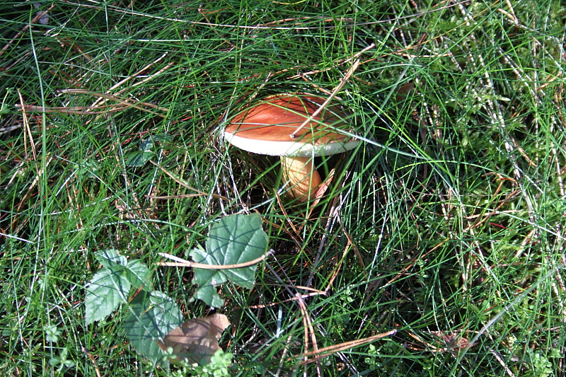 Killikus® Fotographie Killikus® Fotographie