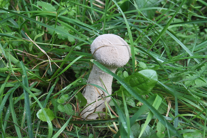 Killikus&reg; Fotographie