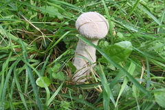 Killikus&reg; Fotographie