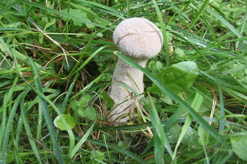 Killikus&reg; Fotographie