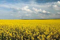 Killikus&reg; Fotographie