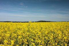 Killikus&reg; Fotographie