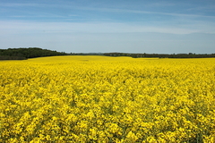 Killikus&reg; Fotographie