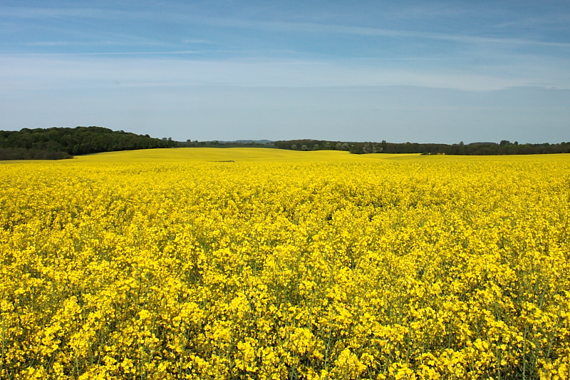 Killikus&reg; Fotographie