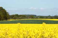 Killikus&reg; Fotographie