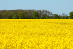 Killikus&reg; Fotographie