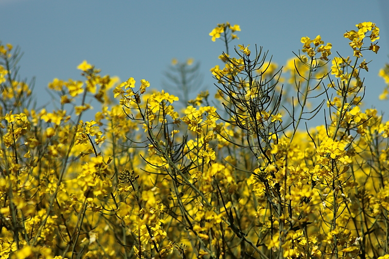 Killikus® Fotographie Killikus® Fotographie