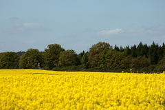 Killikus&reg; Fotographie