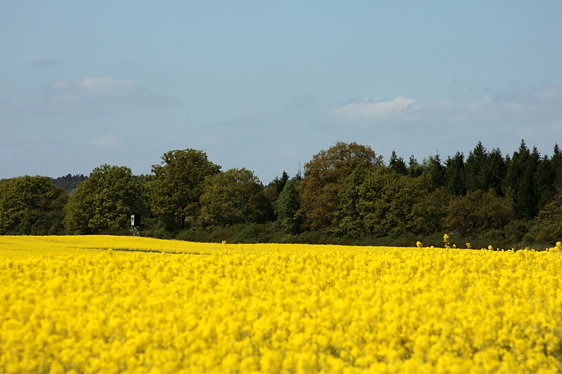 Killikus&reg; Fotographie