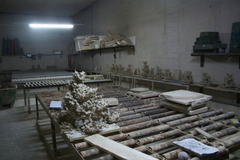 Killikus&reg; Fotographie