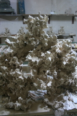 Killikus&reg; Fotographie