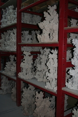 Killikus&reg; Fotographie