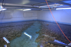 Killikus&reg; Fotographie