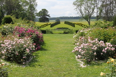 Killikus&reg; Fotographie