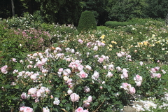 Killikus&reg; Fotographie