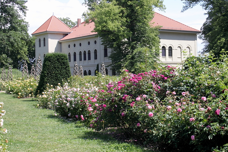 Killikus&reg; Fotographie