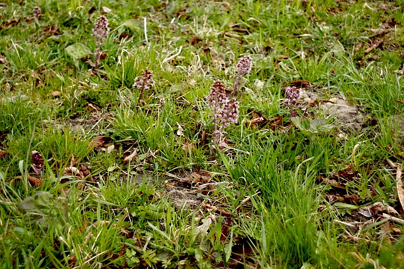 Killikus&reg; Fotographie