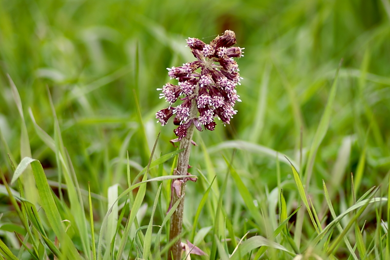 Killikus&reg; Fotographie