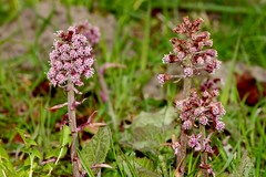 Killikus&reg; Fotographie