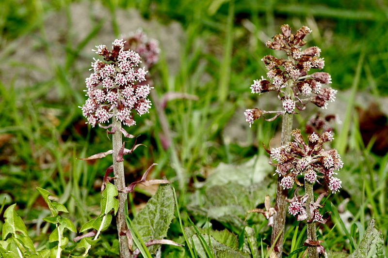 Killikus&reg; Fotographie